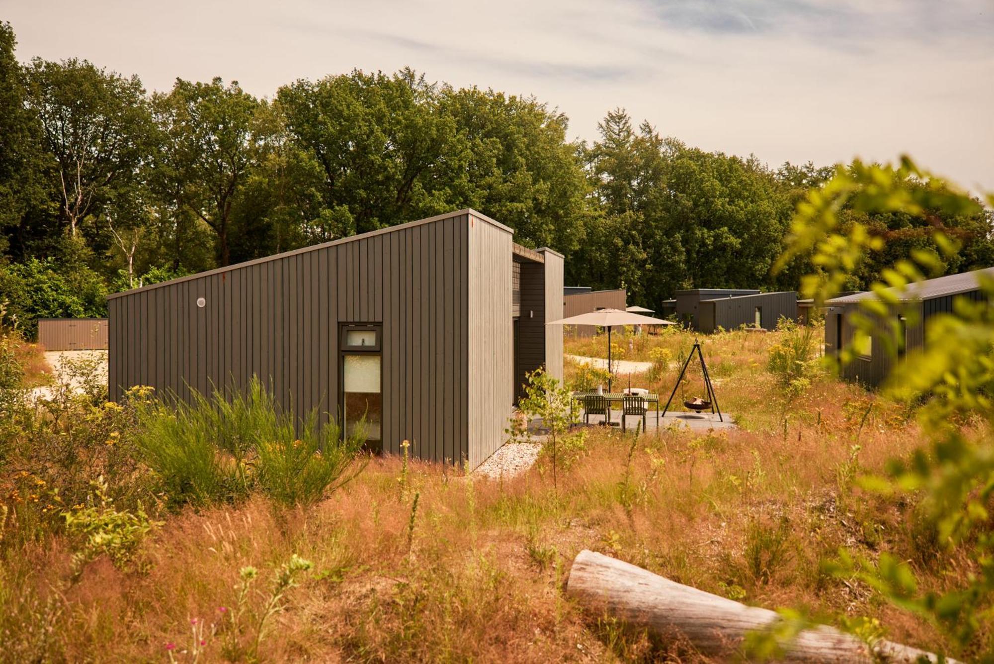 Dutchen Zeegser Duinen Suitelodges Luaran gambar