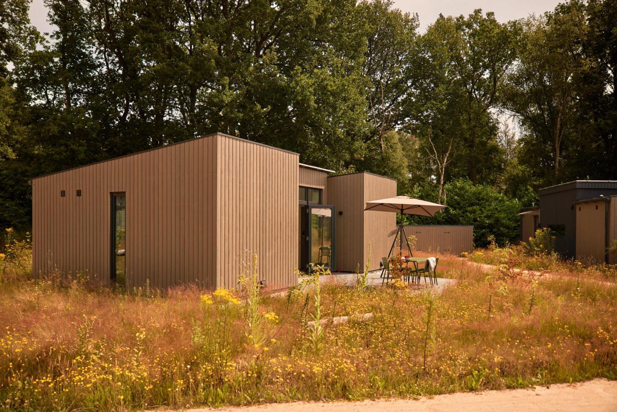 Dutchen Zeegser Duinen Suitelodges Luaran gambar