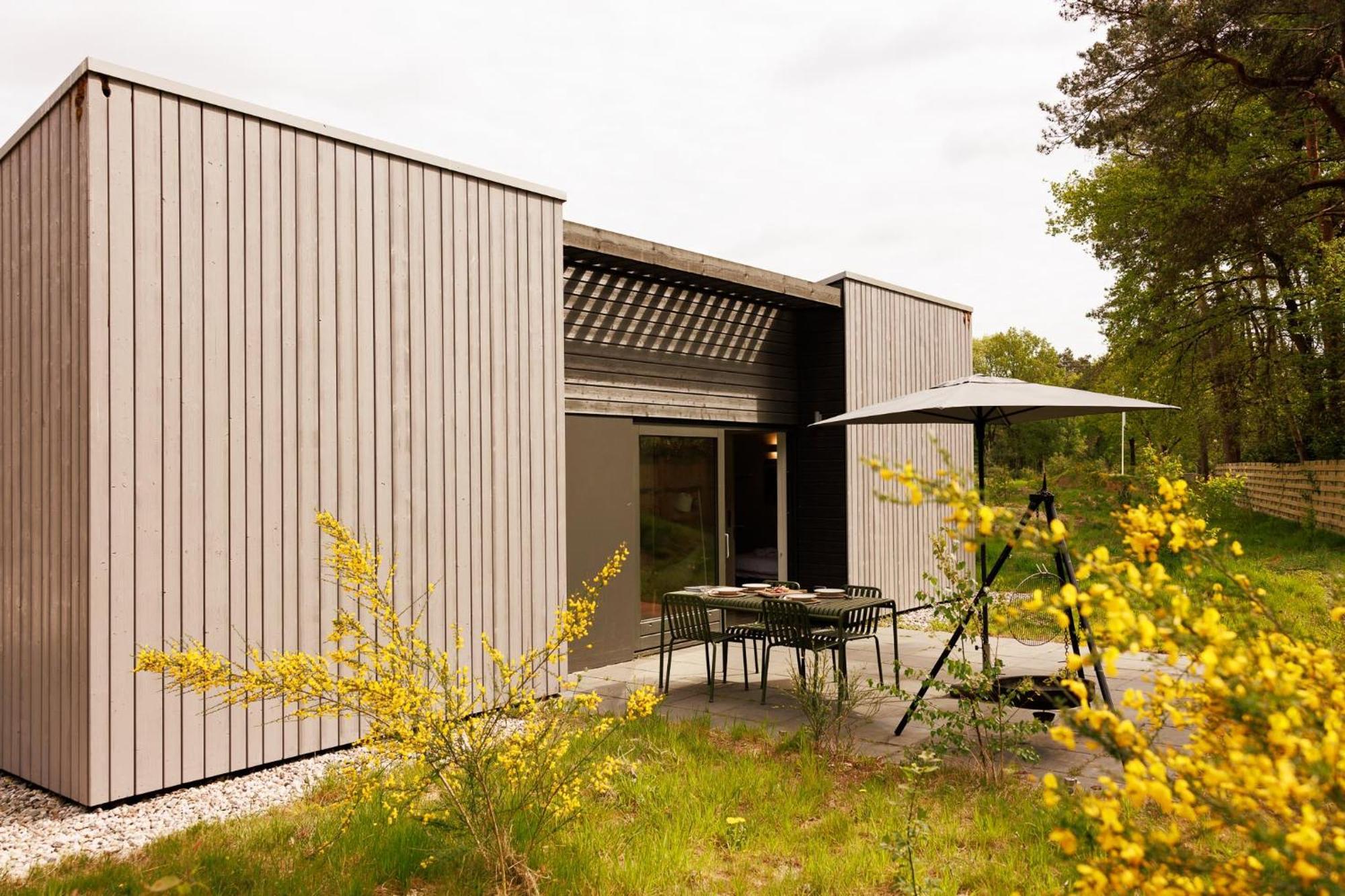 Dutchen Zeegser Duinen Suitelodges Luaran gambar